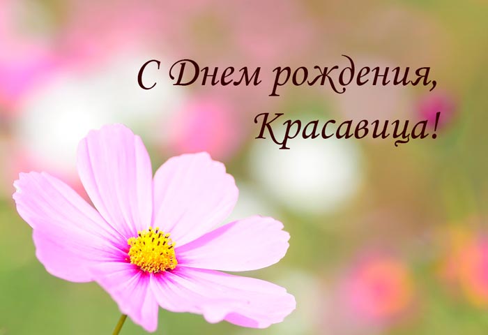 137-svoimi-slovami.jpg.jpeg