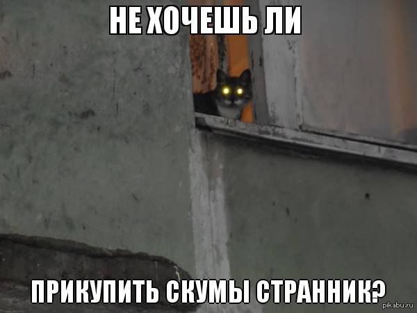 1382092297_712621870.jpg.jpeg