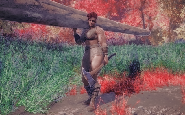 14247056_m.png.png