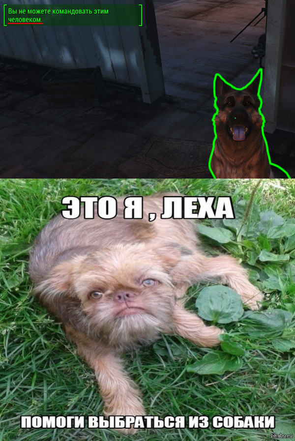 1447620378_1867191390.jpg.jpeg