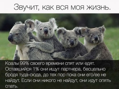 1461862118_kartinki-48.jpg.jpeg