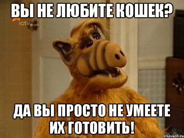 1463928145175496179.jpg.jpeg