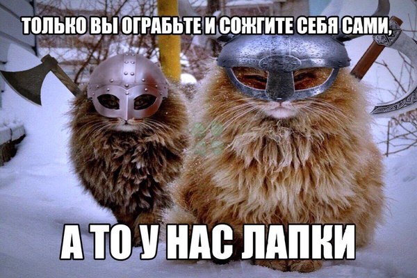 1503531024172363389.jpg.jpeg