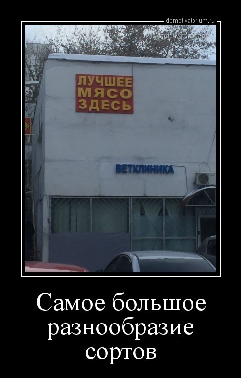 15289818435976-ac4a06ebe0b0c19d44a7aa35d064e076.jpg.jpeg