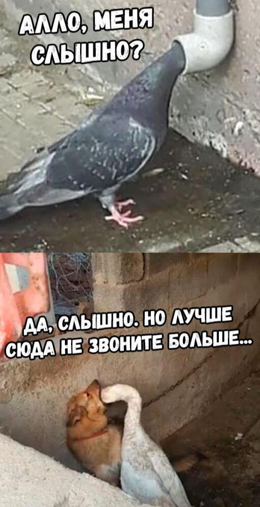 155228889115441178.jpg.jpeg