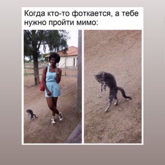1568320259142613682.jpg.jpeg