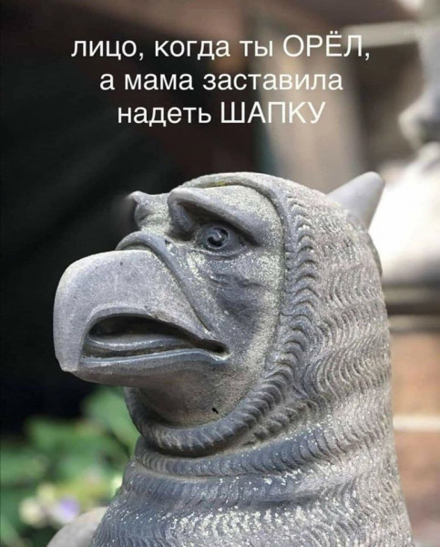 1573734752.jpg.jpeg