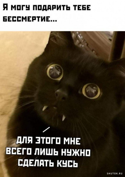 1580980473.jpg.jpeg