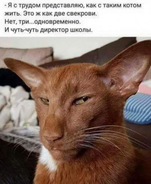 1583765123.jpg.jpeg