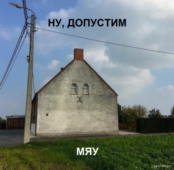 1584092520.jpg.jpeg