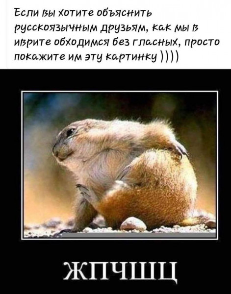 1584159428.jpg.jpeg