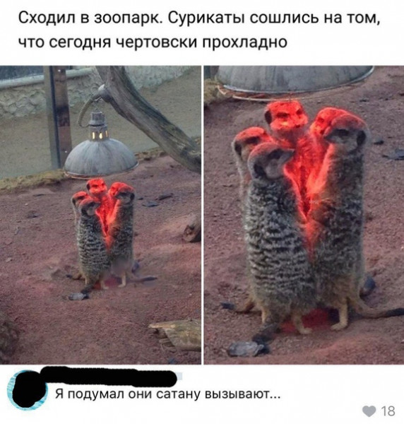 1584366484.jpg.jpeg