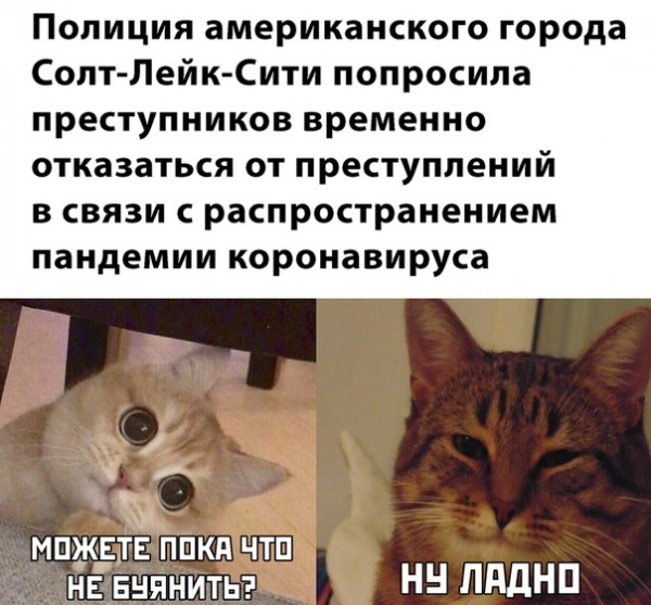 1584366532.jpg.jpeg