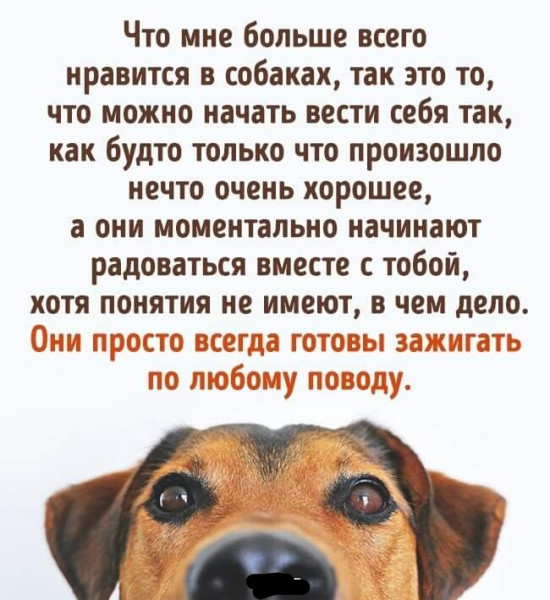1584557051.jpg.jpeg