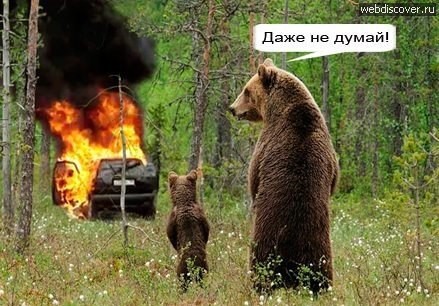 1856_133251585911.jpg.jpeg