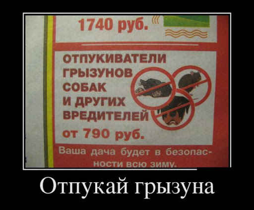 1b2fd0613b87516ecf1b1056e220f500.jpg.jpeg