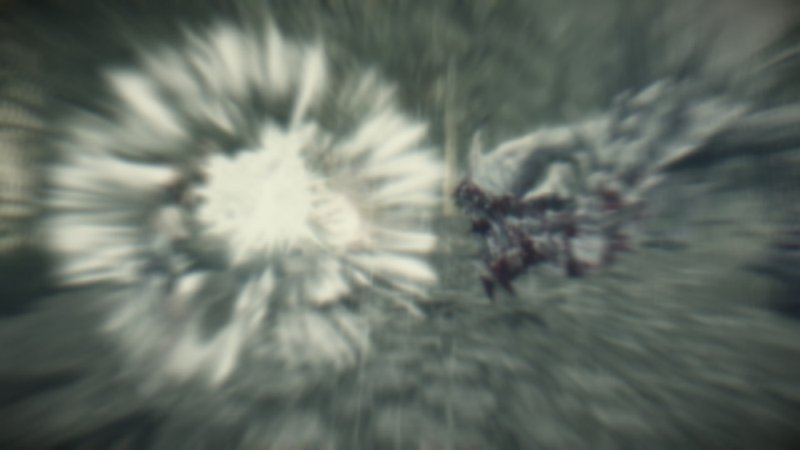 20_800.jpg.jpeg
