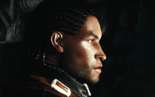 Подробнее о "LK.Preset. Dawnguard Redguard Men"