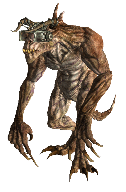 350e02a6492f.png.webp.png