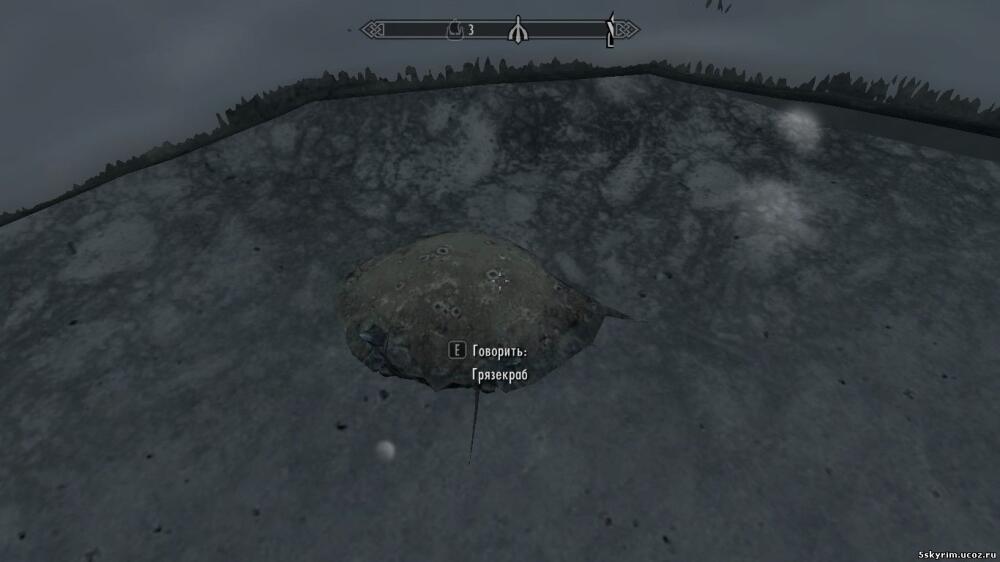 37623_10649600.jpg.jpeg