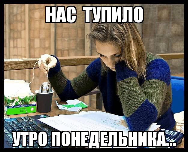 3883860.jpg.jpeg