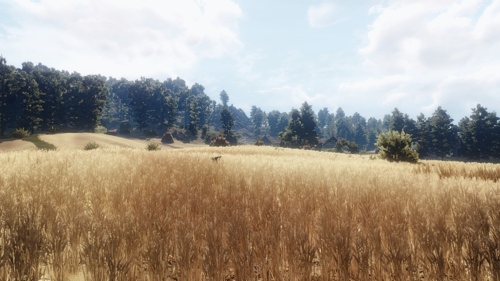 3a59500b31ca9b66bbcebfc9aa4c7893.png.png