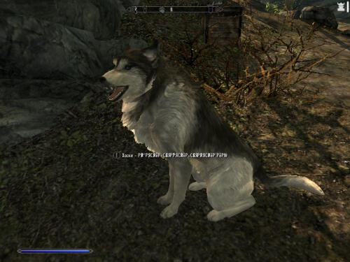 Подробнее о "Призыв Хаски"