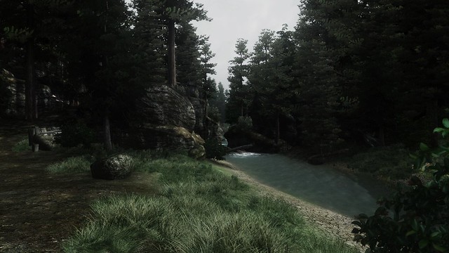 43108303185_ec5e31201b_z.jpg.jpeg