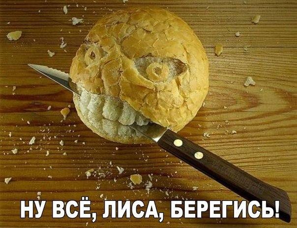 465293d3c367.jpg.jpeg