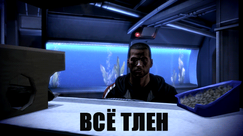 51562683c991.gif