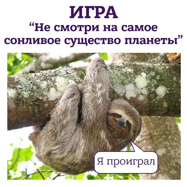 585cf34abc8ef.jpg.jpeg