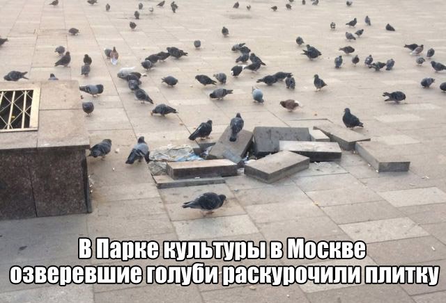 627990863101198564.jpg.jpeg