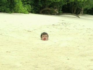 7320777430be.gif