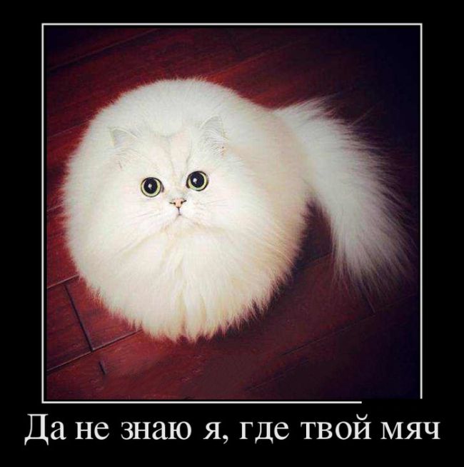 8b592f44792e.jpg.jpeg