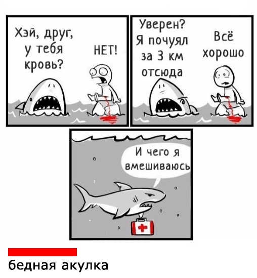 8fb4f9a1ed22.jpg.jpeg