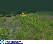 907a93845bddt.jpg.jpeg