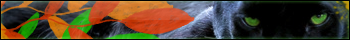 9f7150e3a868.png.png