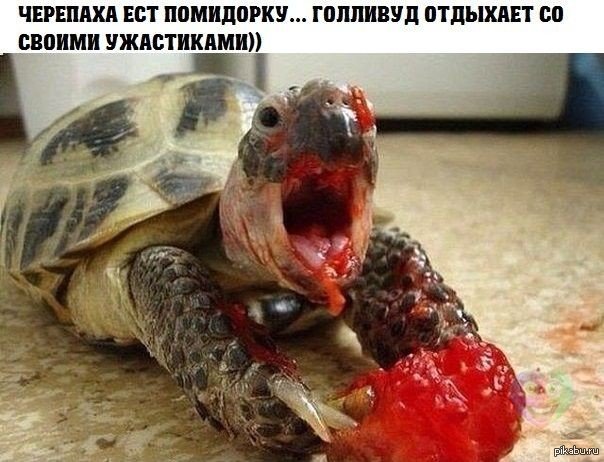 a2a56bc2227dc453a99995d57cb0c873.jpg.jpeg
