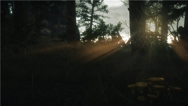 b3399cc4657at.jpg.jpeg