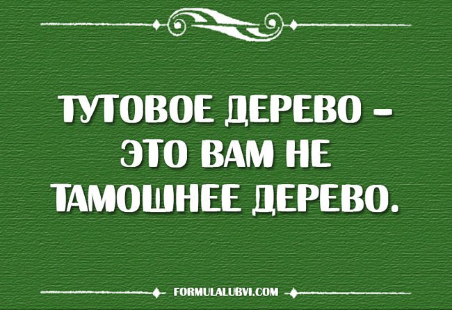 Beskozyrka-7.jpg.jpeg