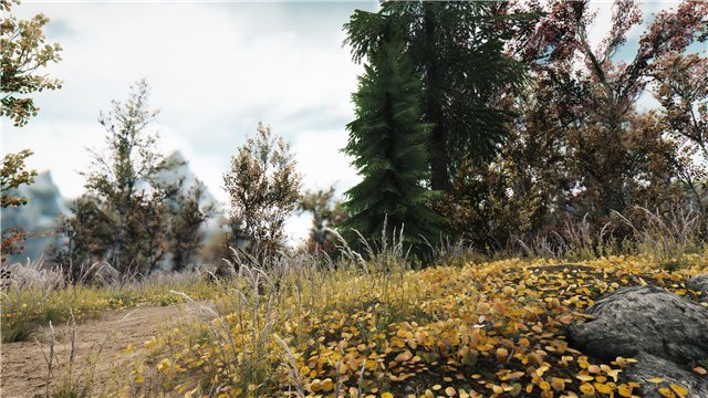 c473db81b833t.jpg.jpeg