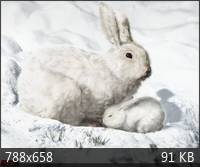 c6cb939baad051bac5985aac1a3723ba.jpg.jpeg