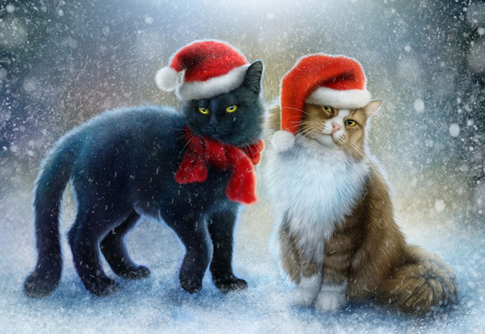Cats_Painting_Art_Christmas_Two_Winter_hat_Snow_518417_1280x880.jpg.jpeg