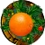 cbe60a76ae78cd38a23d5469924dcb10.png.webp.png
