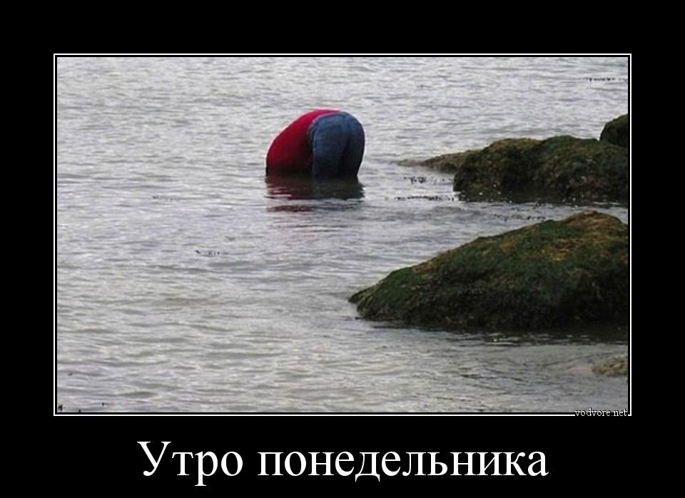 cr_171735567954464496934.jpg.jpeg