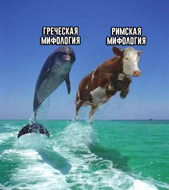 D17v8p6WsAADEx7.jpg.jpeg