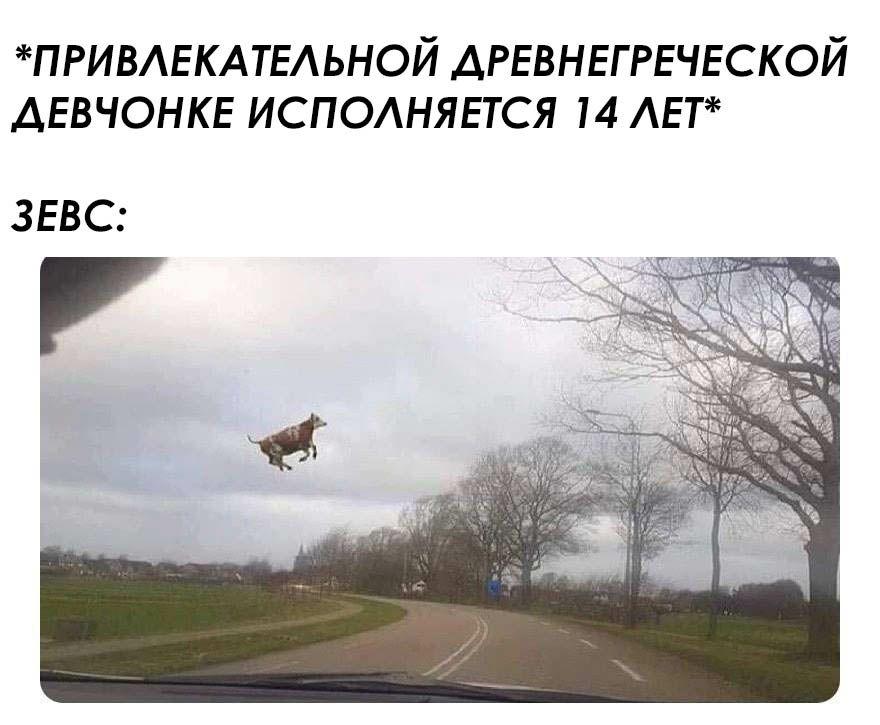 D2LB4lXX4AAGO3c.jpg.jpeg