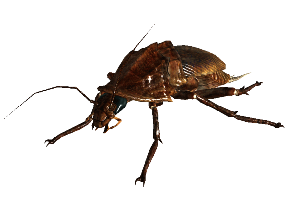 d4c92a516a2f.png.png