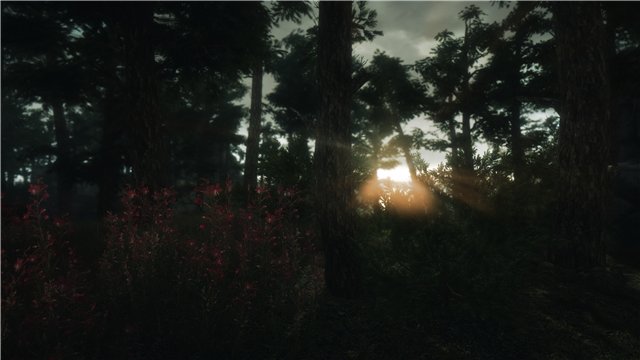 d7869744899ct.jpg.jpeg