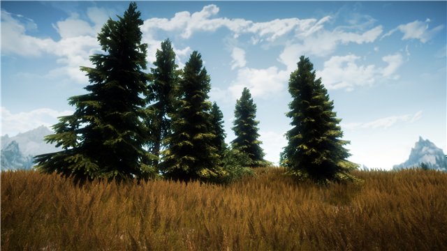 d945a845203dt.jpg.jpeg